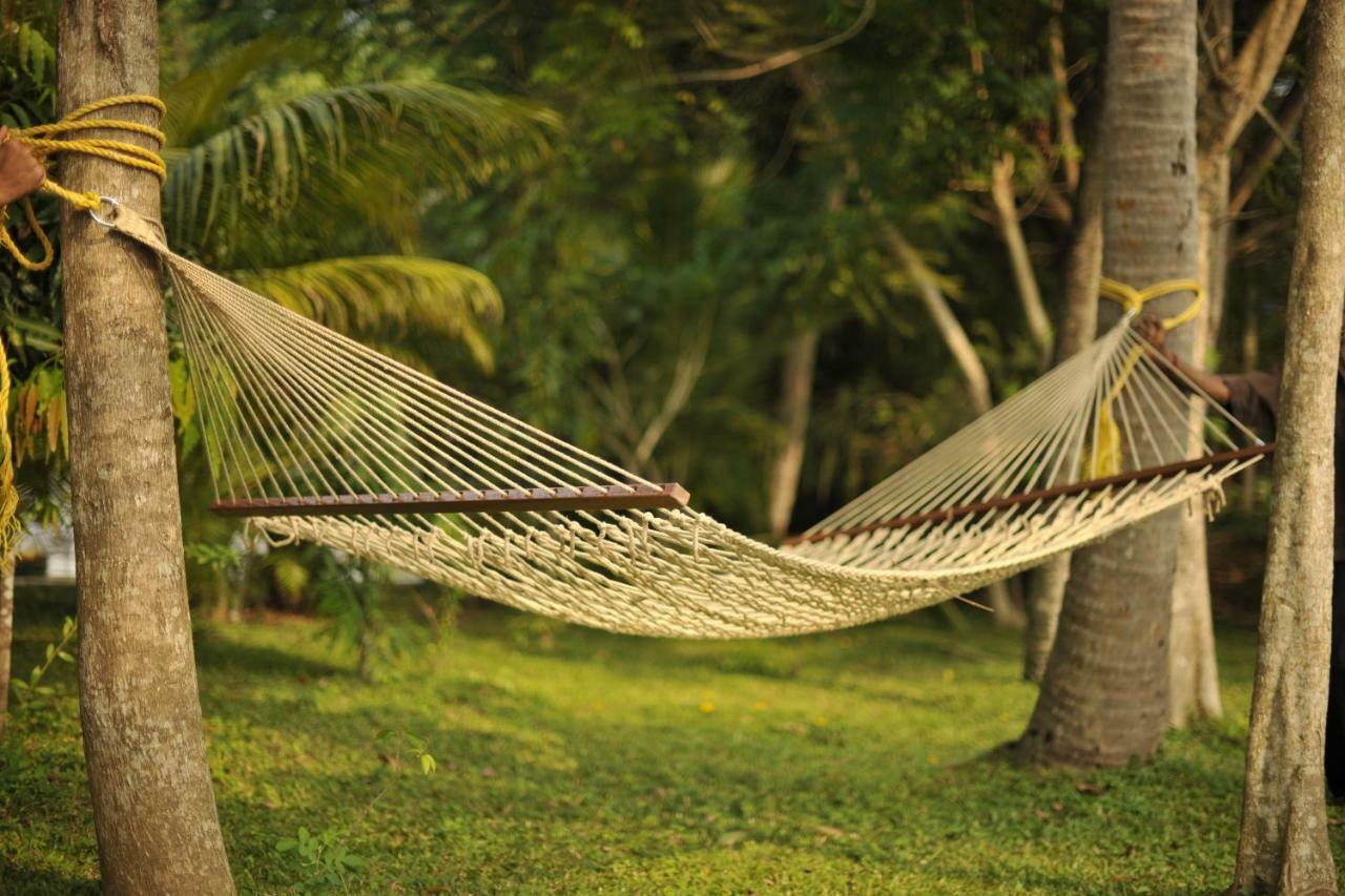 Club Mahindra Ashtamudi Hotell Nīndakara Exteriör bild